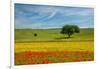 Tuscan field-Marco Carmassi-Framed Photographic Print