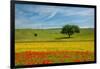 Tuscan field-Marco Carmassi-Framed Photographic Print