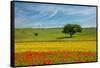 Tuscan field-Marco Carmassi-Framed Stretched Canvas