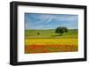 Tuscan field-Marco Carmassi-Framed Photographic Print