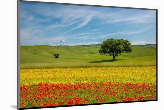 Tuscan field-Marco Carmassi-Mounted Photographic Print