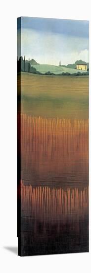 Tuscan Fields II-Robert Charon-Stretched Canvas