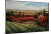 Tuscan Fields of Red-Matt Thomas-Mounted Art Print