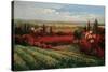 Tuscan Fields of Red-Matt Thomas-Stretched Canvas