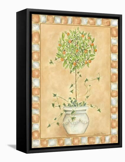 Tuscan Fruit I-Chariklia Zarris-Framed Stretched Canvas