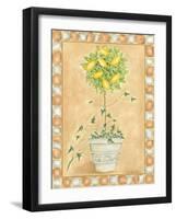 Tuscan Fruit II-Chariklia Zarris-Framed Art Print