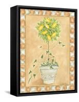 Tuscan Fruit II-Chariklia Zarris-Framed Stretched Canvas