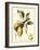 Tuscan Fruits II-Vision Studio-Framed Art Print