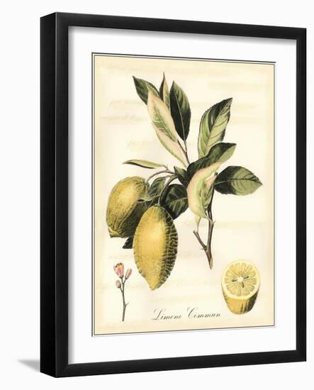 Tuscan Fruits II-Vision Studio-Framed Art Print