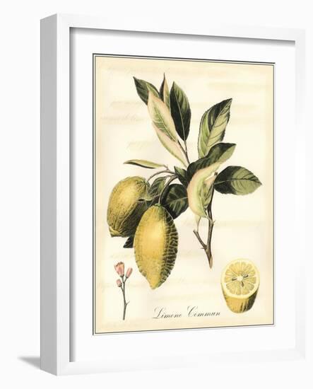 Tuscan Fruits II-Vision Studio-Framed Art Print