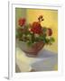 Tuscan Geraniums-Mary Jean Weber-Framed Art Print