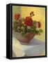 Tuscan Geraniums-Mary Jean Weber-Framed Stretched Canvas