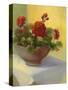 Tuscan Geraniums-Mary Jean Weber-Stretched Canvas