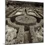 Tuscan Giardini I-Alan Blaustein-Mounted Photographic Print