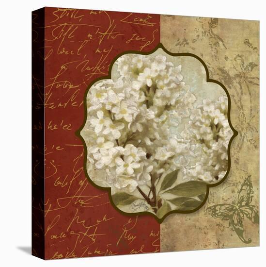 Tuscan Glimpse I-Elizabeth Medley-Stretched Canvas