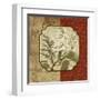 Tuscan Glimpse II-Elizabeth Medley-Framed Art Print