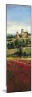 Tuscan Harvest I-Patrick-Mounted Giclee Print