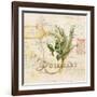 Tuscan Herbs-Angela Staehling-Framed Art Print