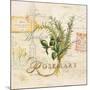 Tuscan Herbs-Angela Staehling-Mounted Art Print