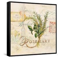 Tuscan Herbs-Angela Staehling-Framed Stretched Canvas