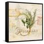 Tuscan Herbs-Angela Staehling-Framed Stretched Canvas