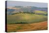 Tuscan Hill Sheep-Robert Goldwitz-Stretched Canvas