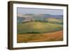 Tuscan Hill Sheep-Robert Goldwitz-Framed Photographic Print