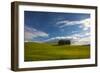 Tuscan Hill Side Cypress Tree Grouping, Italy-Terry Eggers-Framed Photographic Print