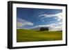 Tuscan Hill Side Cypress Tree Grouping, Italy-Terry Eggers-Framed Photographic Print