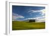 Tuscan Hill Side Cypress Tree Grouping, Italy-Terry Eggers-Framed Photographic Print