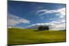 Tuscan Hill Side Cypress Tree Grouping, Italy-Terry Eggers-Mounted Photographic Print