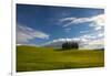 Tuscan Hill Side Cypress Tree Grouping, Italy-Terry Eggers-Framed Photographic Print