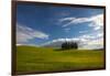 Tuscan Hill Side Cypress Tree Grouping, Italy-Terry Eggers-Framed Photographic Print