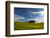 Tuscan Hill Side Cypress Tree Grouping, Italy-Terry Eggers-Framed Photographic Print