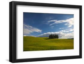 Tuscan Hill Side Cypress Tree Grouping, Italy-Terry Eggers-Framed Photographic Print