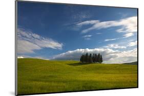 Tuscan Hill Side Cypress Tree Grouping, Italy-Terry Eggers-Mounted Photographic Print