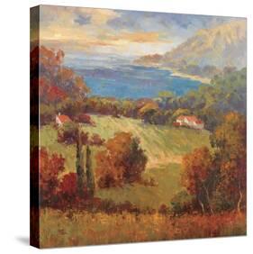 Tuscan Hill View-K^ Park-Stretched Canvas