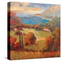 Tuscan Hill View-K. Park-Stretched Canvas