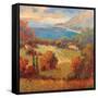 Tuscan Hill View-K. Park-Framed Stretched Canvas