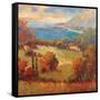 Tuscan Hill View-K. Park-Framed Stretched Canvas