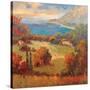 Tuscan Hill View-K. Park-Stretched Canvas