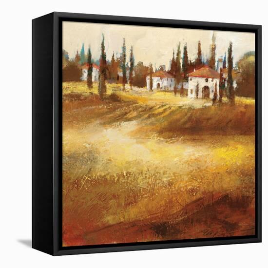 Tuscan Hills-Paul Santiago-Framed Stretched Canvas