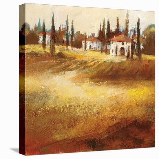 Tuscan Hills-Paul Santiago-Stretched Canvas
