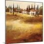 Tuscan Hills-Paul Santiago-Mounted Art Print