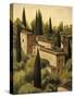 Tuscan Hillside I-Maurizio Moretti-Stretched Canvas