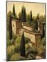 Tuscan Hillside I-Maurizio Moretti-Mounted Art Print