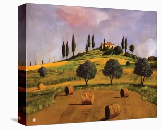 Tuscan Hillside-Judith D'Agostino-Stretched Canvas