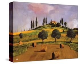 Tuscan Hillside-Judith D'Agostino-Stretched Canvas