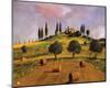 Tuscan Hillside-Judith D'Agostino-Mounted Art Print