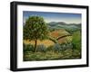 Tuscan Hilltop Village, 1990-Liz Wright-Framed Giclee Print